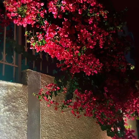 Appartamento Kristiana Sarandë